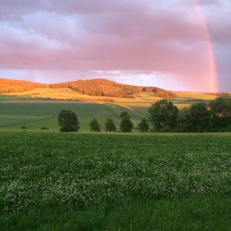 Allegretto quasi andantino